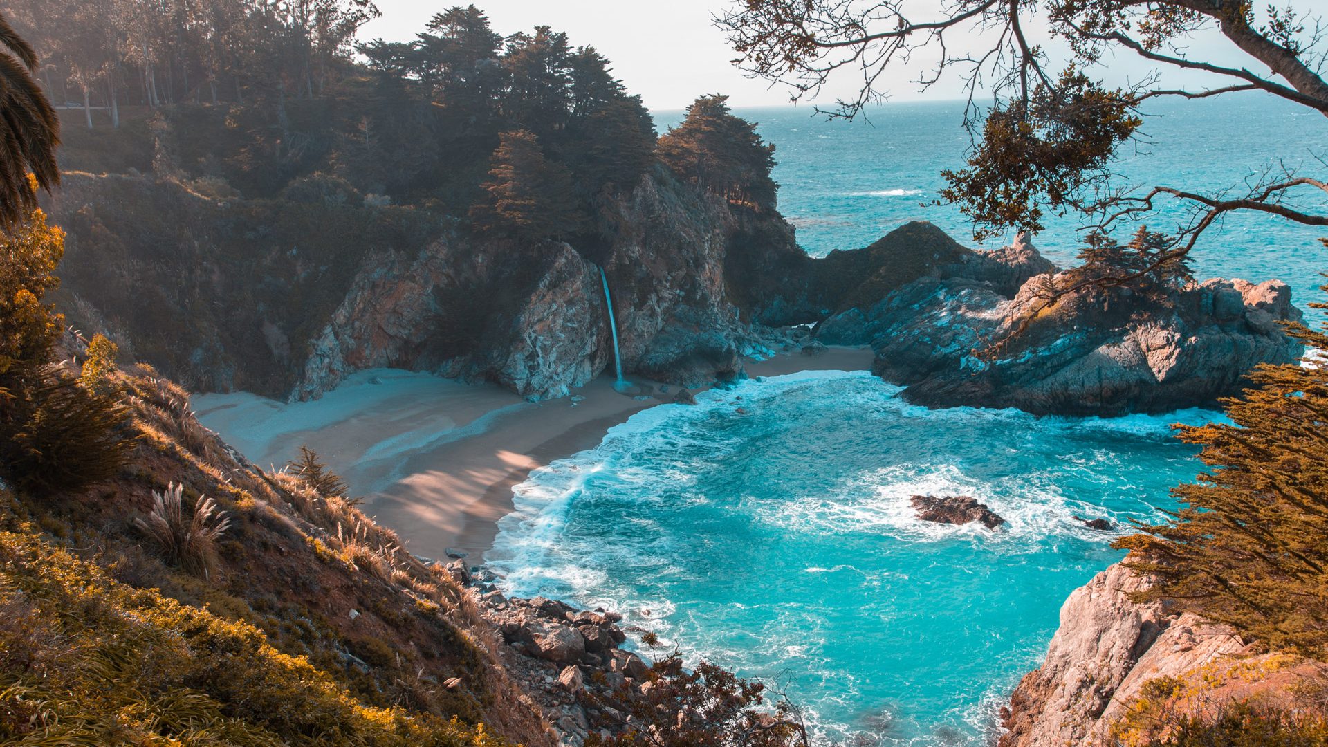 derek-thomson-443919-unsplash